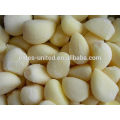 Whole IQF Frozen Natural Garlic